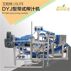 多功能全自动水果榨汁机 DYJ型果蔬快速榨汁机 工业不锈钢榨汁机 艾莉特