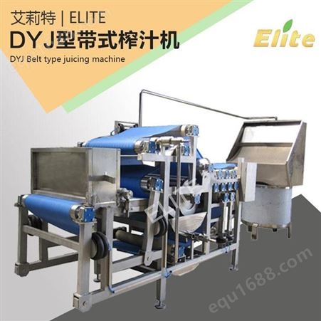 多功能全自动水果榨汁机 DYJ型果蔬快速榨汁机 工业不锈钢榨汁机 艾莉特
