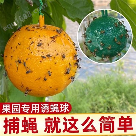 果园诱蝇球粘虫球柑橘针蜂果实蝇黄色绿色蚊虫球陷阱捕虫器