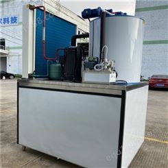 广西块冰机  商用片冰机 集装箱式片冰机 厂家批发 极力制冷
