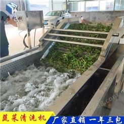 加工定制蔬菜气泡清洗机 蔬菜加工厂使用设备 韭菜挡板清洗流水线