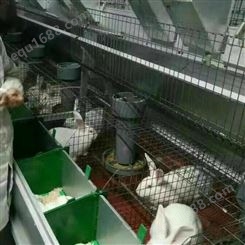 厂家供应 种兔笼九笼位 阶梯式肉兔笼厂家 兔笼规格