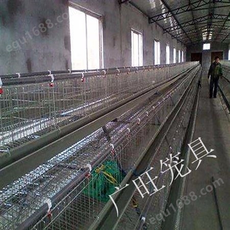 种鸡笼 鸡笼常用规格 广旺 鸡笼子鸽笼 H型鸡笼 销售企业