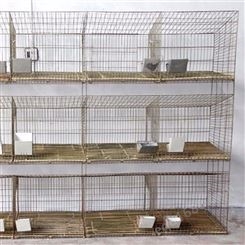 种兔笼 广旺 阶梯式养殖兔笼 三层子母兔子饲养笼 定制设备