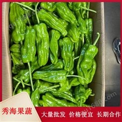 芜湖椒 自种自销新鲜青辣椒 货源地直发