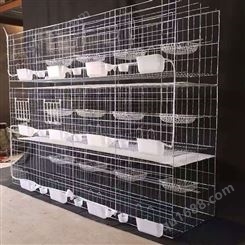 镀锌鸽笼厂家 销售定制 三层信鸽养殖笼 养殖鸽笼批发