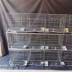 9位种兔笼 普通兔笼价格 肉兔笼养殖兔笼安装