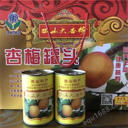 丹东特产杏梅罐头  水果罐头 罐头批发