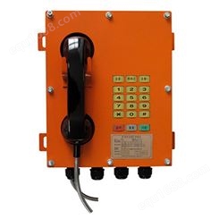 上海华亨KTK12矿用本安型扩音电话