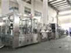 纯净水生产线瓶装灌装设备小瓶水生产设备CGF