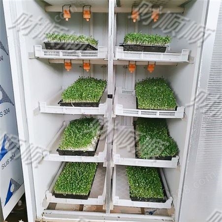 财顺顺出售 小型芽苗机 大容量   家用小型芽苗机菜浸种器