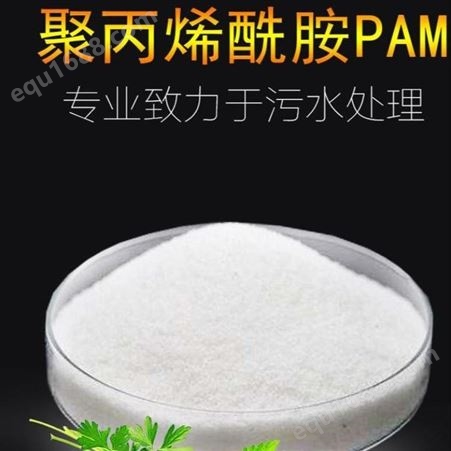 聚丙烯酰胺 恒举环保科技 PAM沉淀剂 净水絮凝剂阴离子