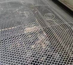 塑胶养鸡鸭鹅漏粪脚垫网育雏网床 可定制塑料网片 高正塑料平网厂