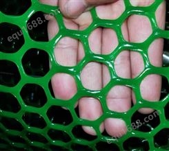 塑料平网 家禽养殖网 漏粪便网聚乙烯专用塑料平网 高正定制
