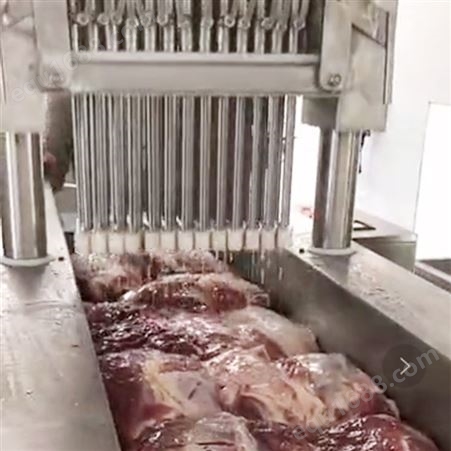 雪花牛肉注脂机 猪蹄盐水注射机 肉制品加工入味设备