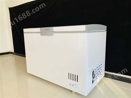 双温冰柜青岛新贝尔 家用小型冷冻保鲜两用 节能商用大容量冷柜