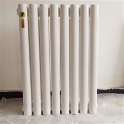 【宏硕】 钢二柱多水道暖气片 家用散热器   钢制柱式散热器  钢二柱暖气片价格
